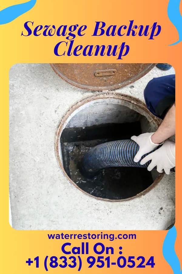 Sewage Backup Cleanup in Allen, NE