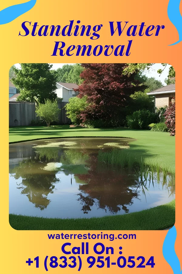 Standing Water Removal in Allen, NE